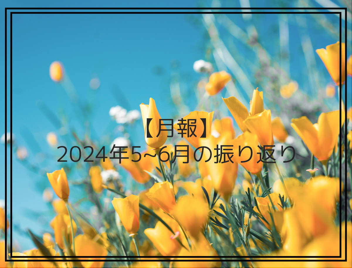 【月報】2024年5~6月の振り返り