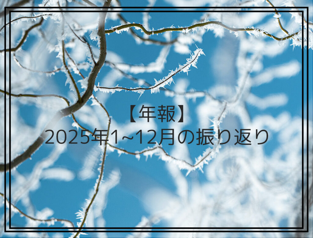 【年報】2025年1~12月の振り返り