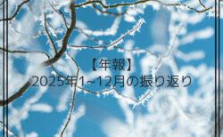 【年報】2025年1~12月の振り返り